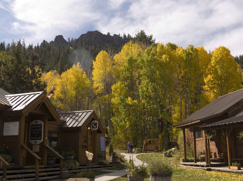 Fall colors at Sorensen's Resort, Hope Valley, CA by Nancy Hayes