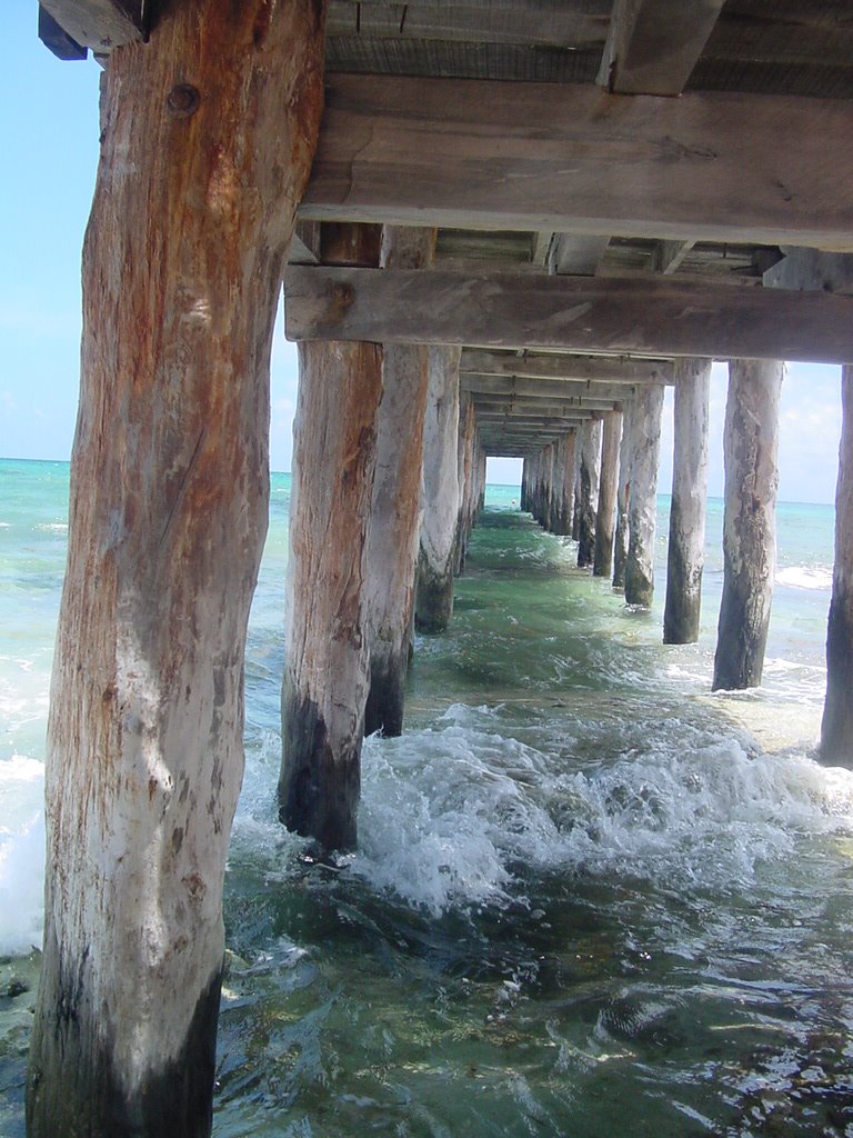 Desde el Muelle by Waender