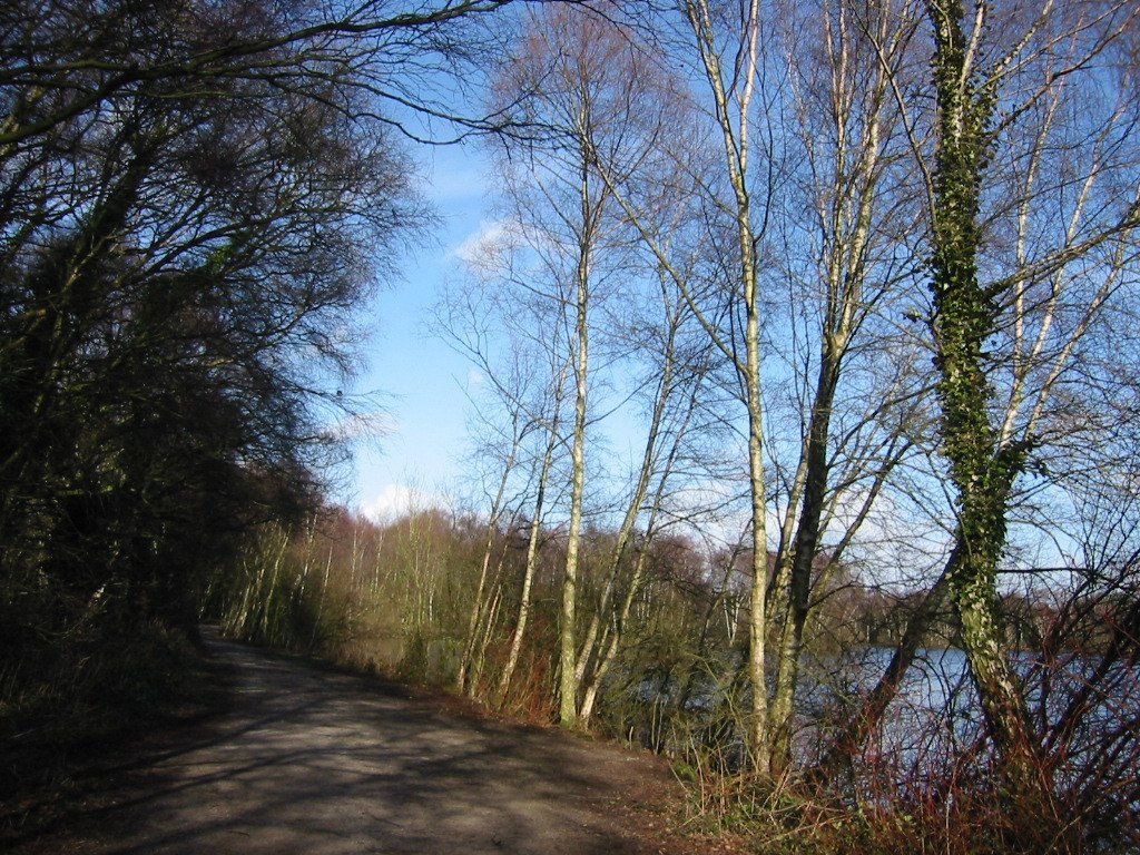 Shakerley Mere by Daniel Singleton