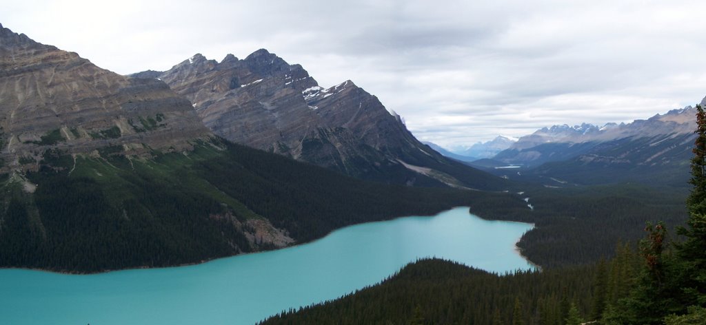 Peyto Lake by ttwimlex