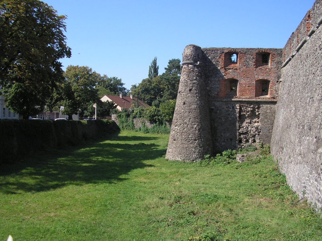 Uzhgorod Castle by miroska