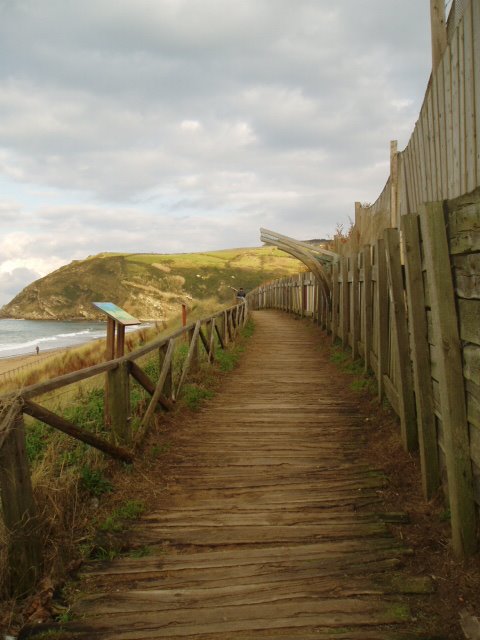 Zarauzko hondartza (Basamortu handia) by xabier3007