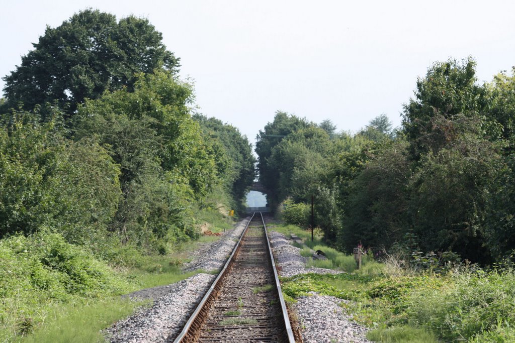 Rails to Bourne End by BurnhamMike