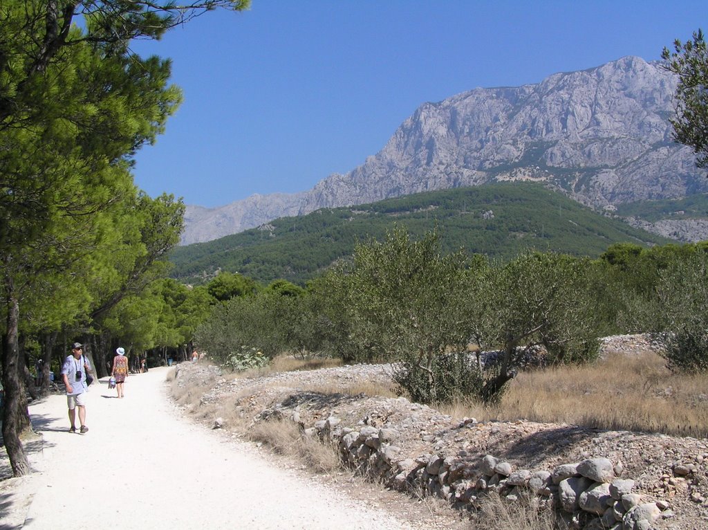 Walking trail by Yuri Filkin