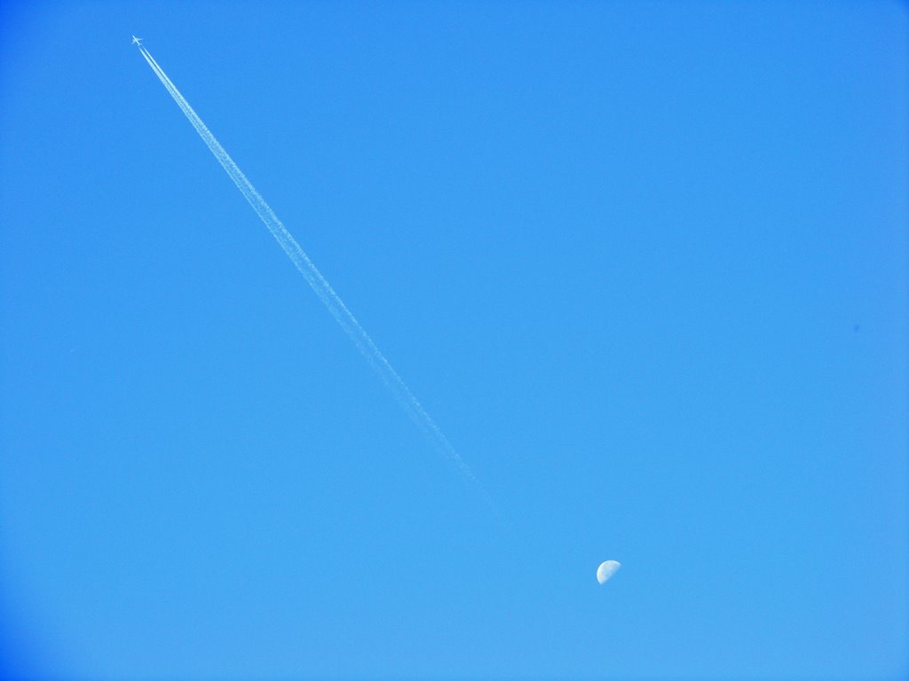 Over the Moon, Eccleston Park, Sept.08 by Tom Gainer