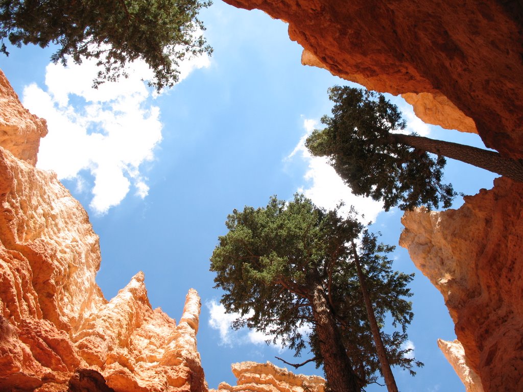 Bryce canyon2 by fabrizio2454