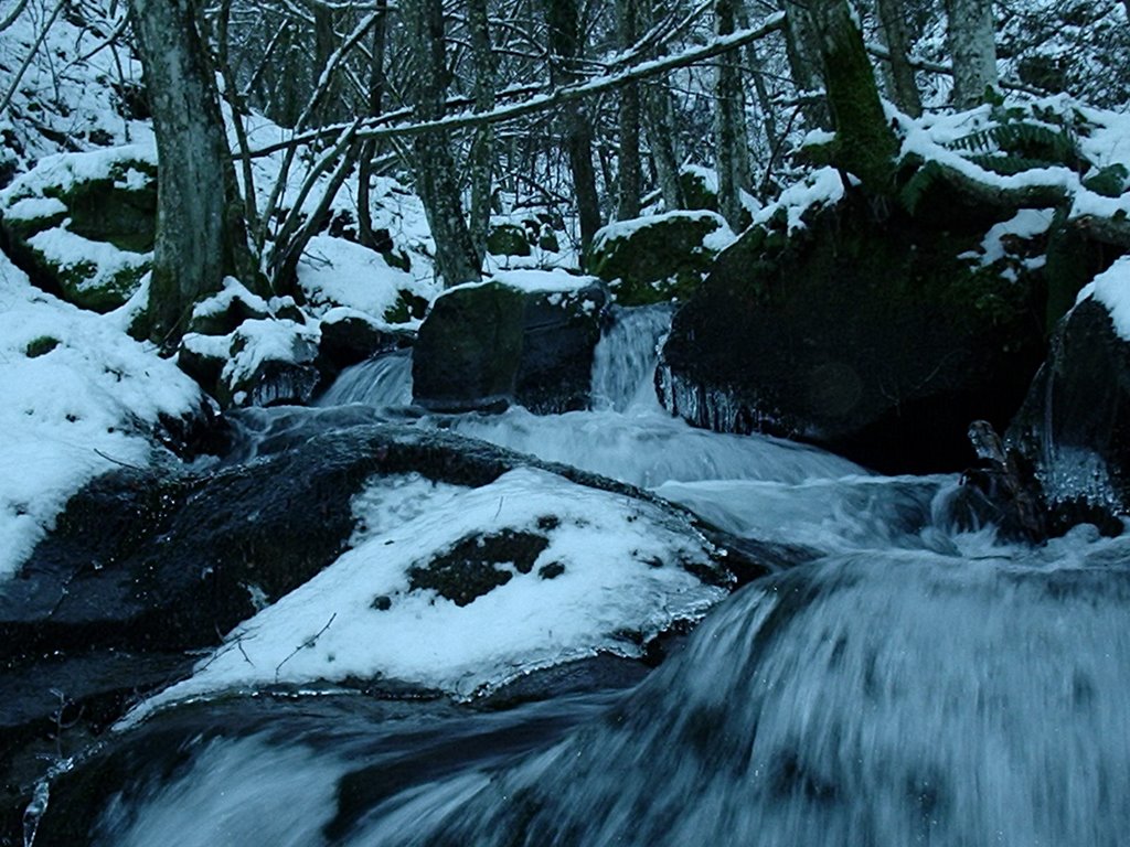 Riolunato, torrente d'inverno, Dic.04 by Livio Casarini