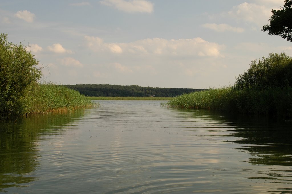 Mündung in den Oberuckersee by ToniKuehn