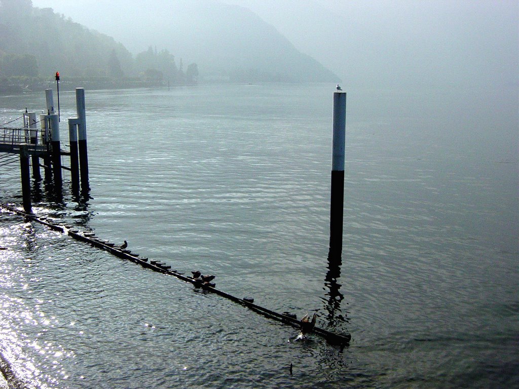 Lago di Como - Bellagio by Frank Faro