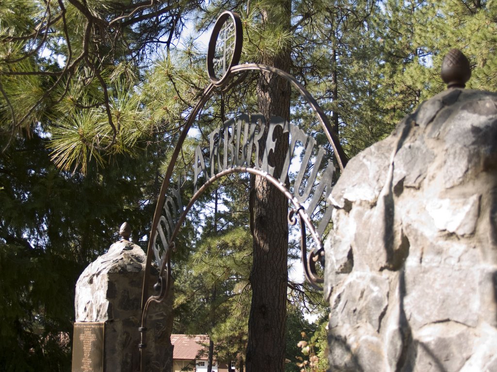 Eddy Arboretum Sign by Nancy Hayes