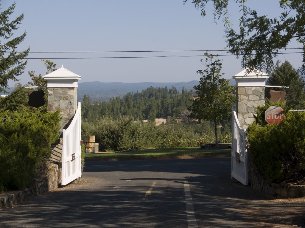 Entrance Eddy Arboretum by Nancy Hayes