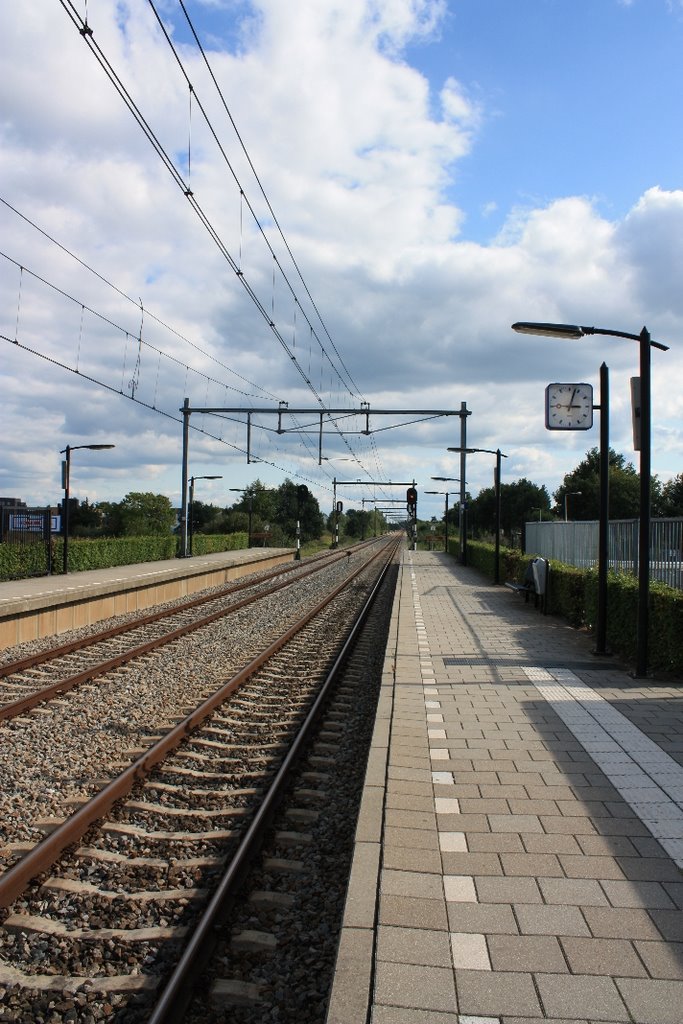 Station Drienerlo richting Enschede (sept 2008) by JWes