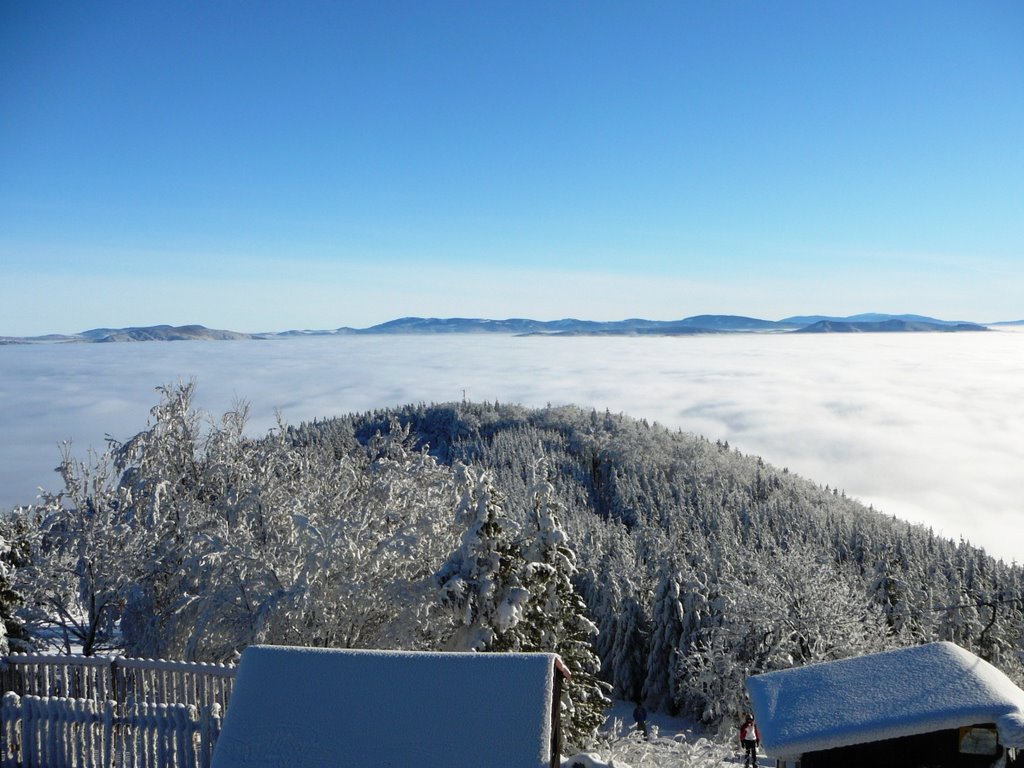 Wiew on Silesian Beskids from Javorovy hill - Pohled na Slezské Beskydy z Javorového vrchu - Widok na Beskid Śląski z Jaworowego Wierchu by David Szymik