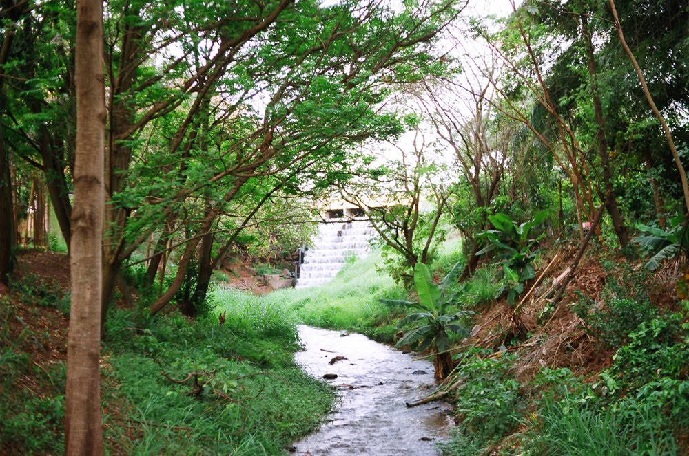 Queda D'Água E O Rio by Zekinha