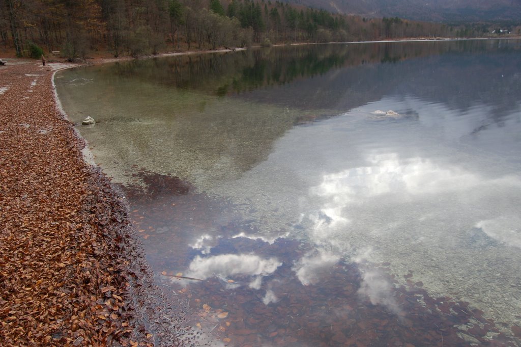 Bohinj Leaves, Water, Mountains, Clouds by David J. Hill