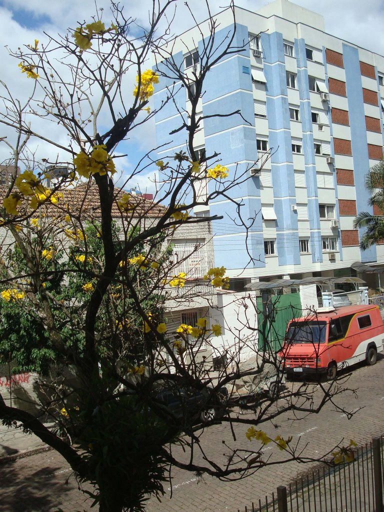 Rua Ribeiro Cancela - Menino Deus by Emiliano Homrich