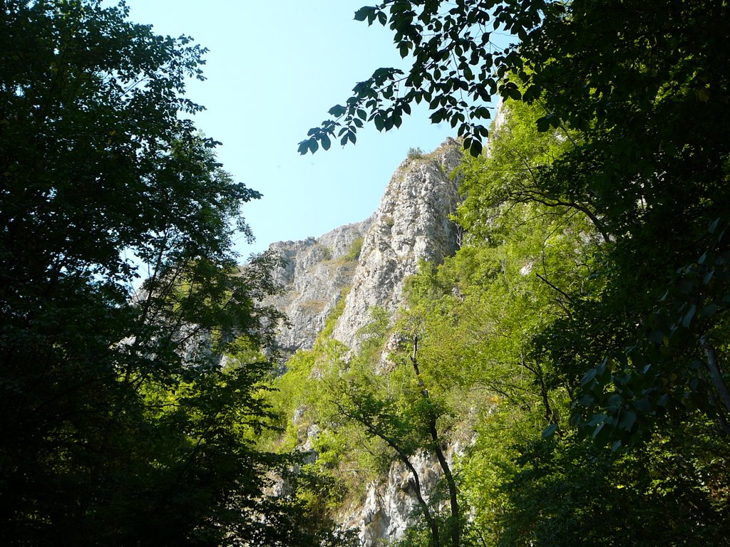 Meresti, Romania by diszkosz