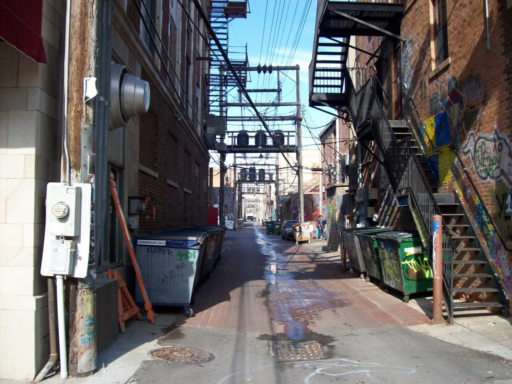 Art Alley in Rapid City, SD by Brendan T Quinn