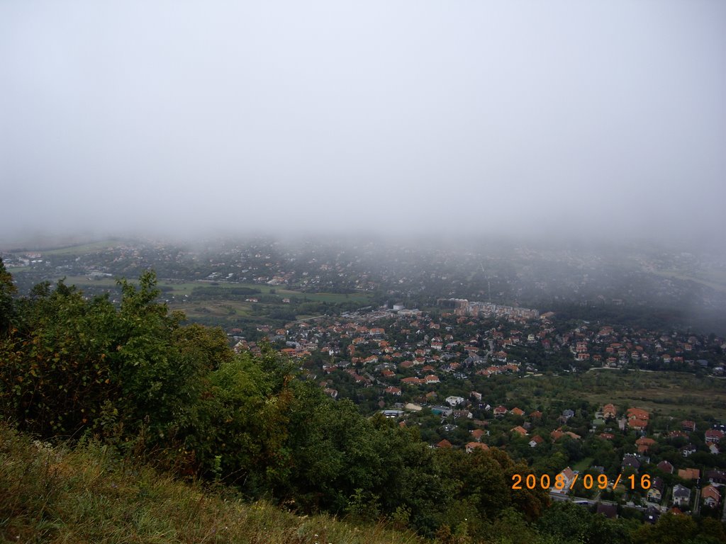 Budapest, Hármashatárhegy, 1037 Hungary by Verőczi Zoltán