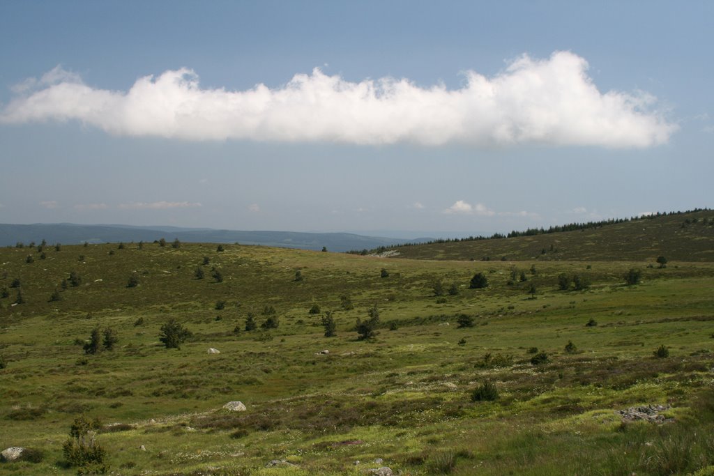 Mont Lozère by j-clementine