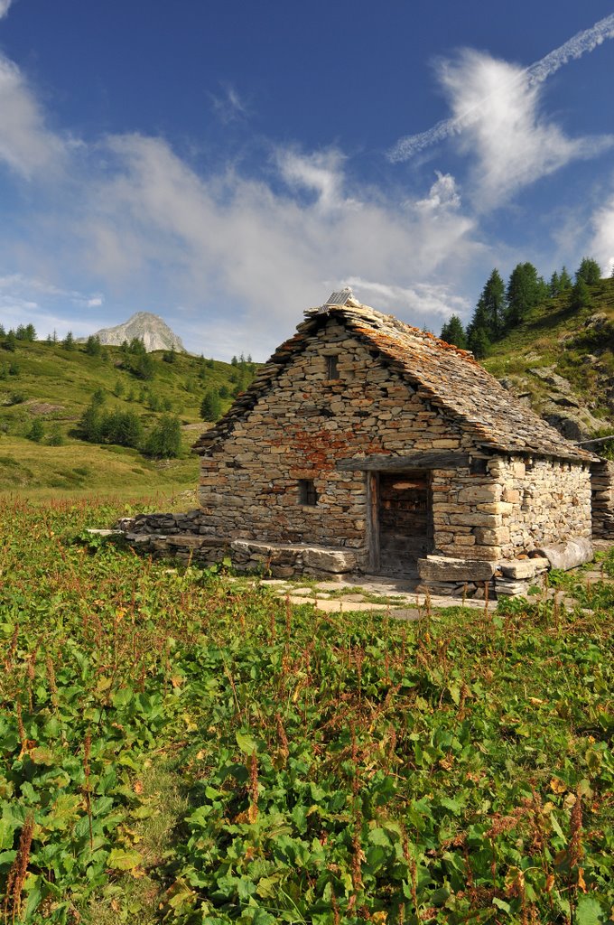 Alpe Cobernas by wildfrog