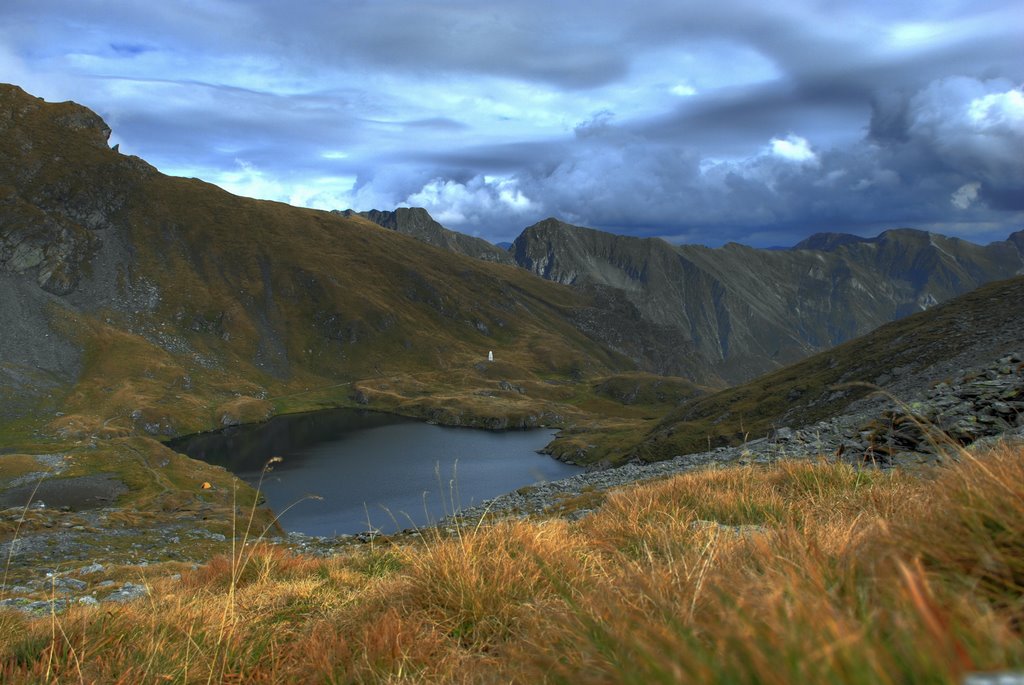 Mountain Lake Capra by FlinstoneRO