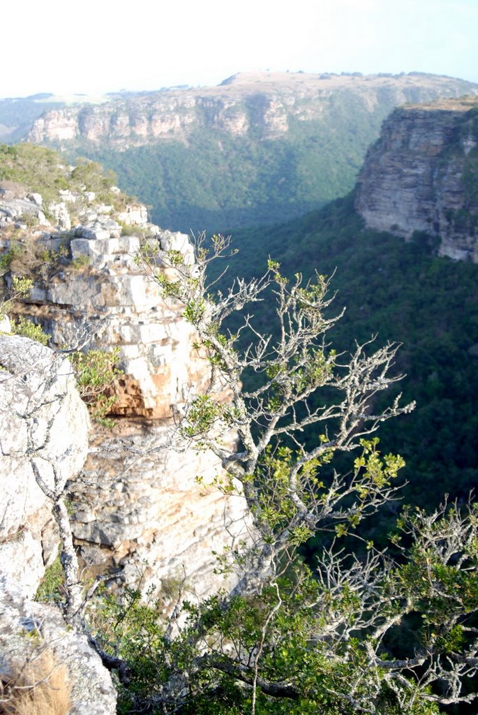 Oribi Gorge by Karel Stone