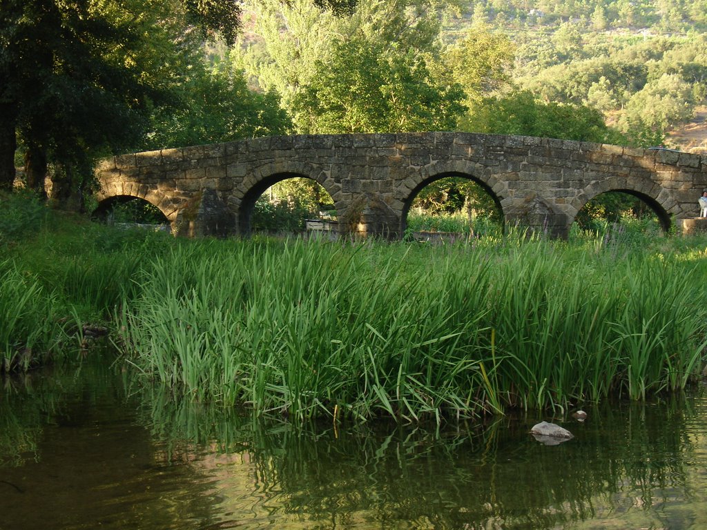 PUENTE ROMANO(PORTAGEM) by PARRON