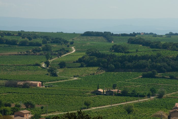 Vignobles de Chateauneuf du Pape by pburki