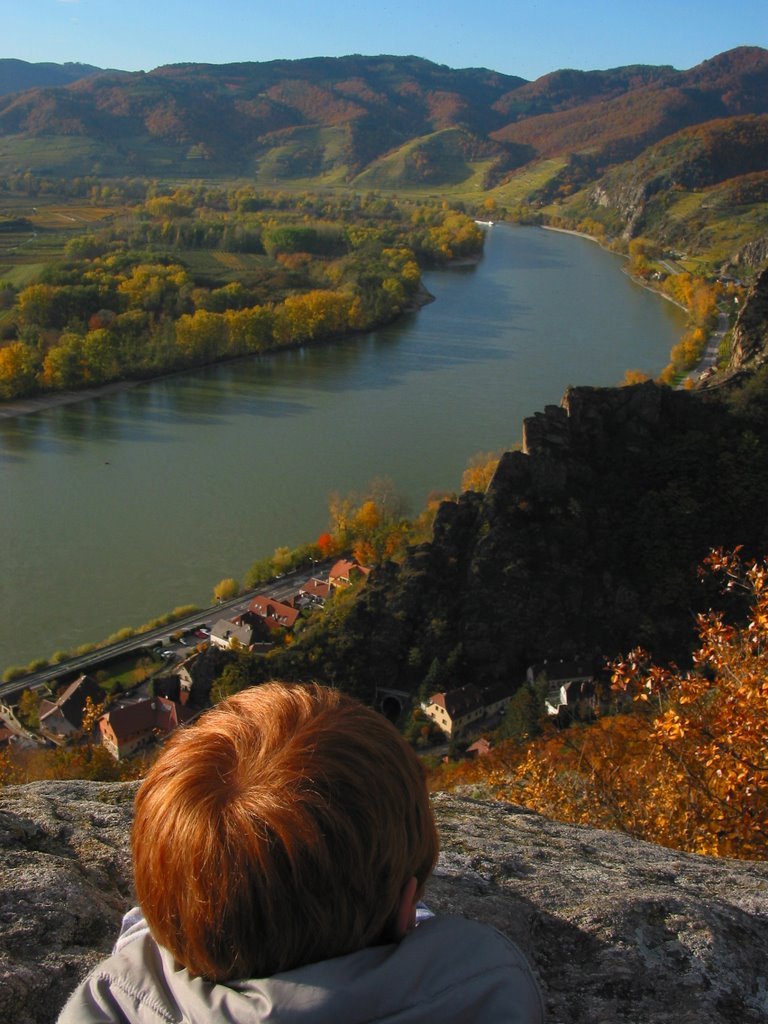 Donaublick vom Vogelbergsteig by fluss