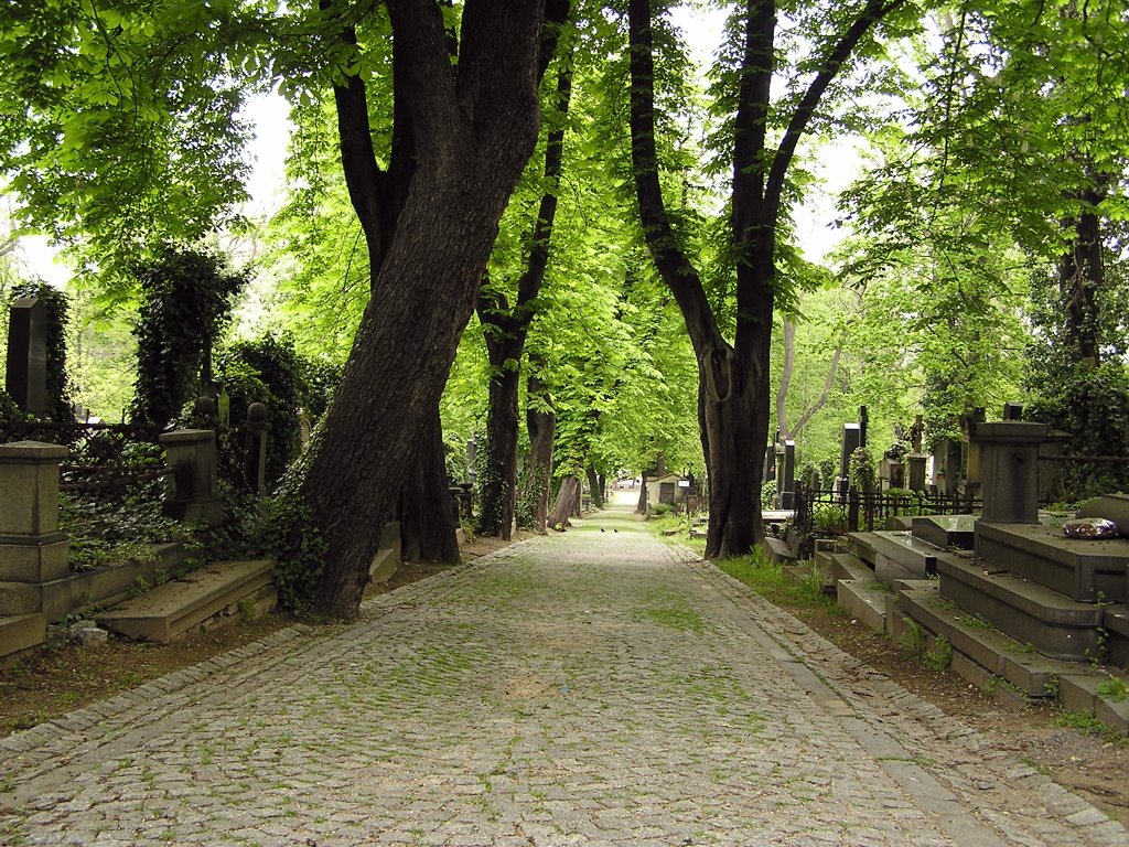 Olšanské hřbitovy - Olšany Cemetery by HuntBehind