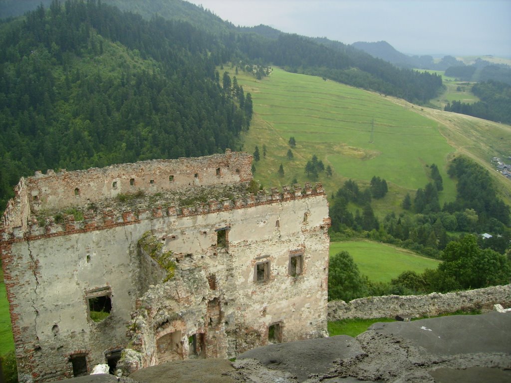 Old castle by Pavol Richtarcik