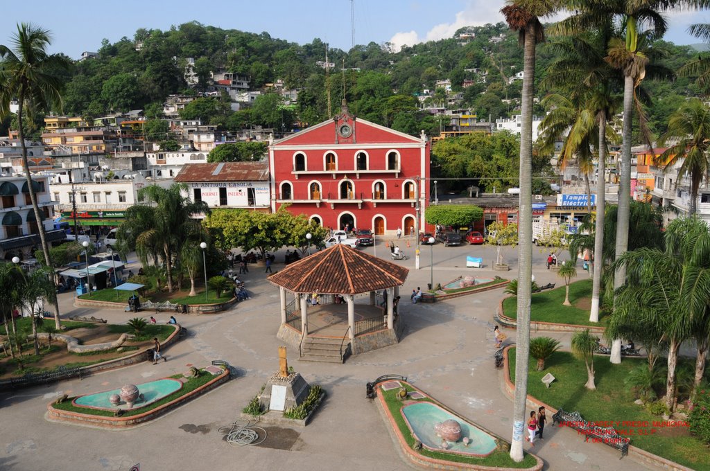 JARDIN JUAREZ by FORTUNATO DEL ANGEL