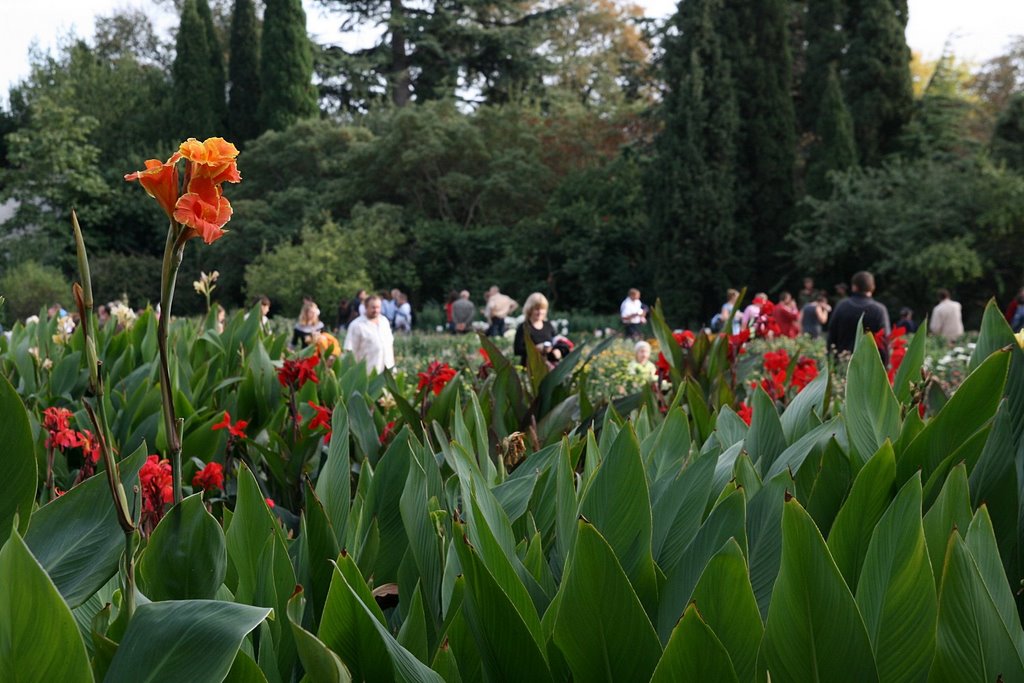 Nikita Botanical Garden by Vojta Srejber