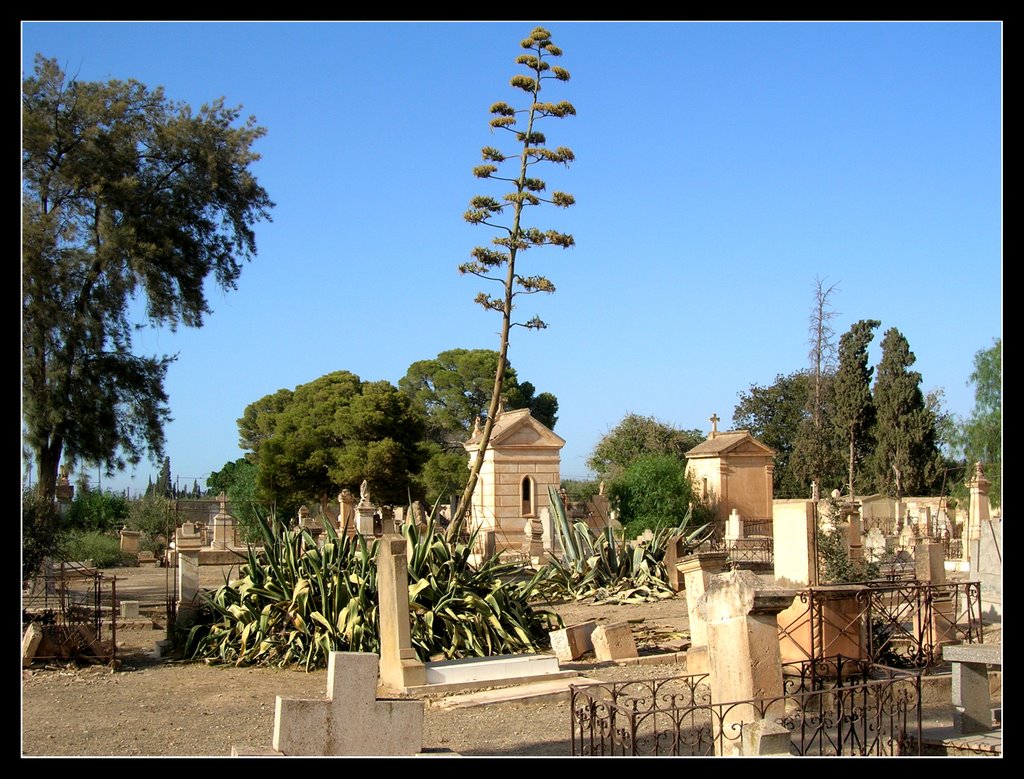 Cimetière Chrétien by Boumlik S