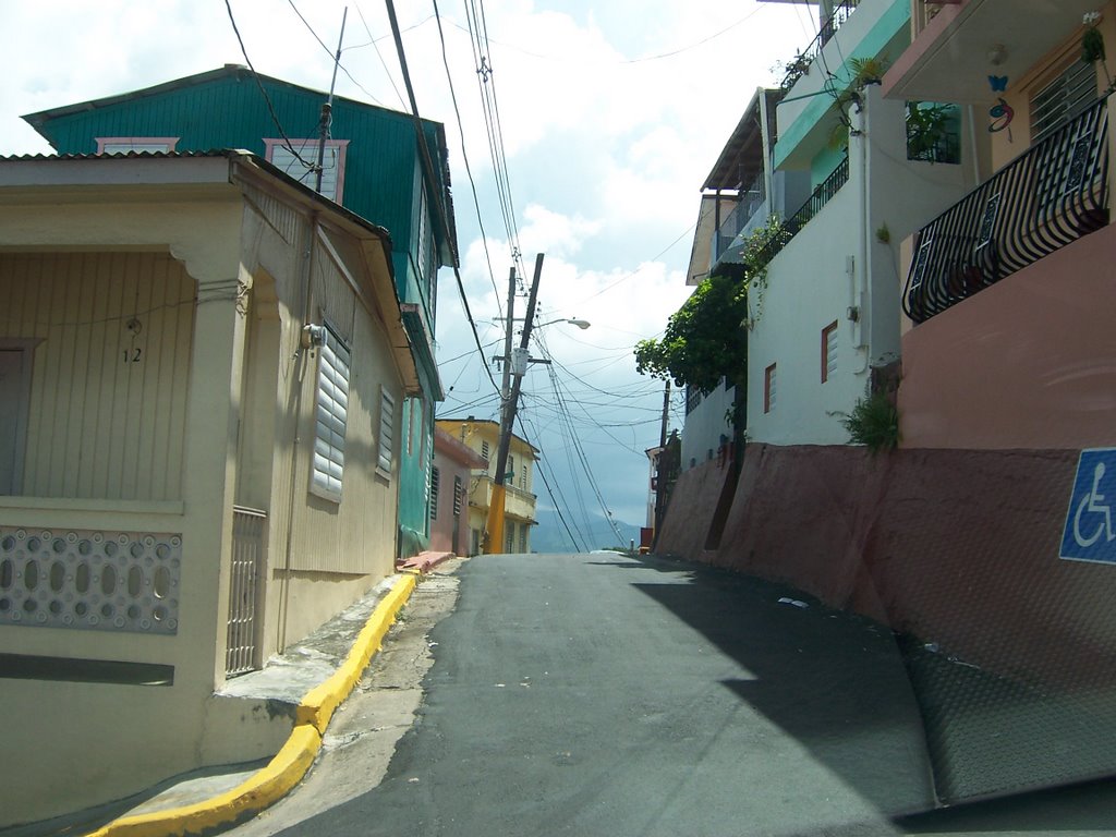 Gurabo, Puerto Rico by sorongo