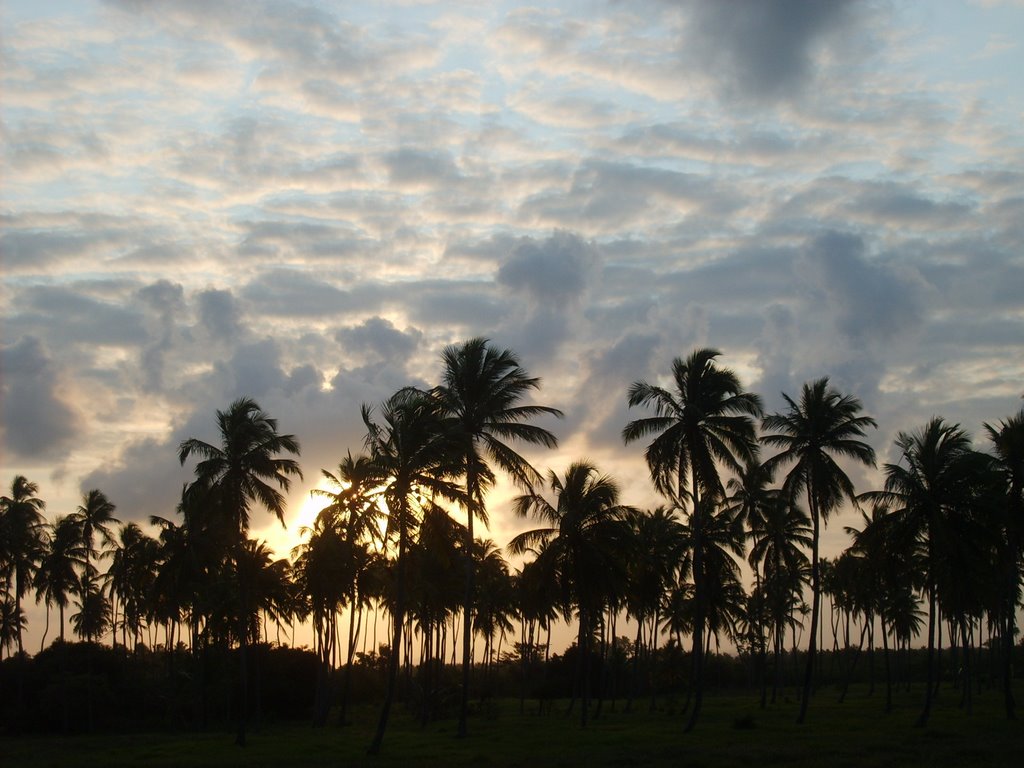 Belezas de Porto de Galinhas/PE by Elisa Nascimento