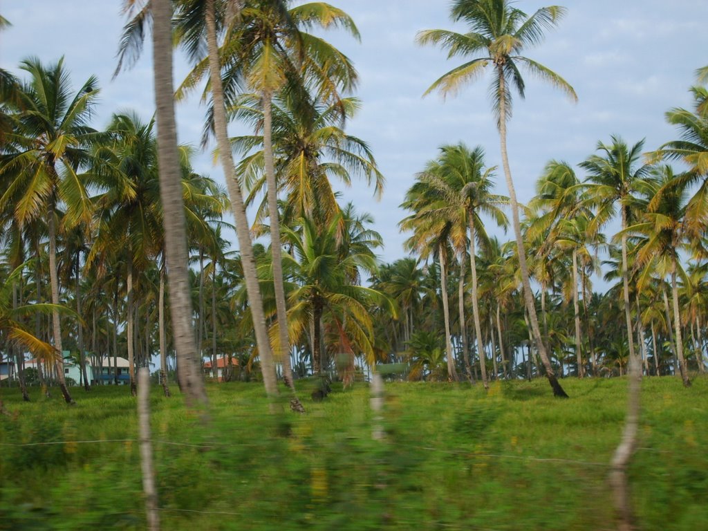 Belezas de Porto de Galinhas/PE by Elisa Nascimento