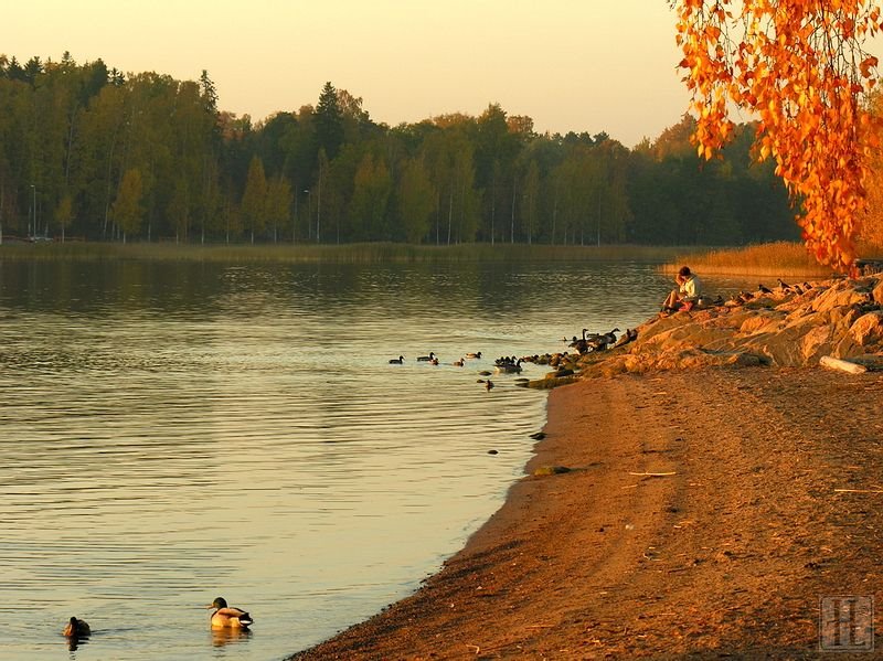 Seurasaari by HenriL