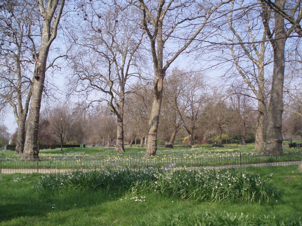 Hyde Park by xabier3007