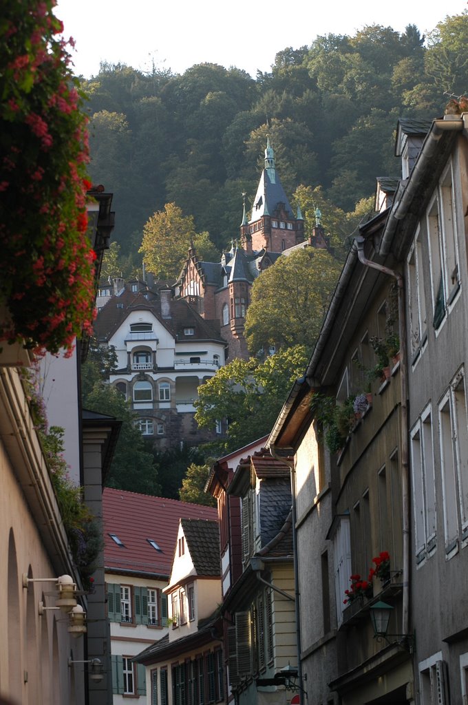 HEIDELBERG by FORTUNATO DEL ANGEL