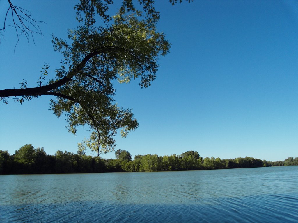 Colby Lake, Woodbury MN by nkovac1