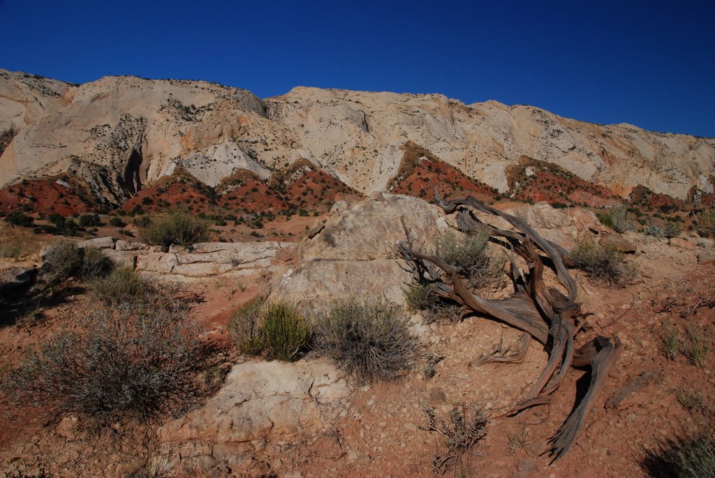 Utah's image. by yves floret