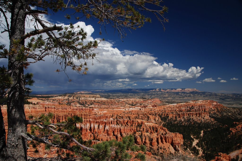 Utah's image by yves floret