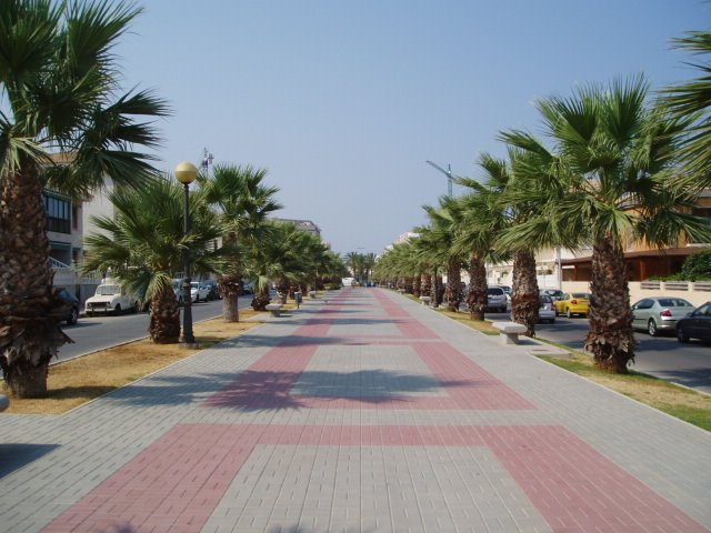 Avenida de Miguel de Cervantes, autor de "Don Quijote de La Mancha" by xabier3007