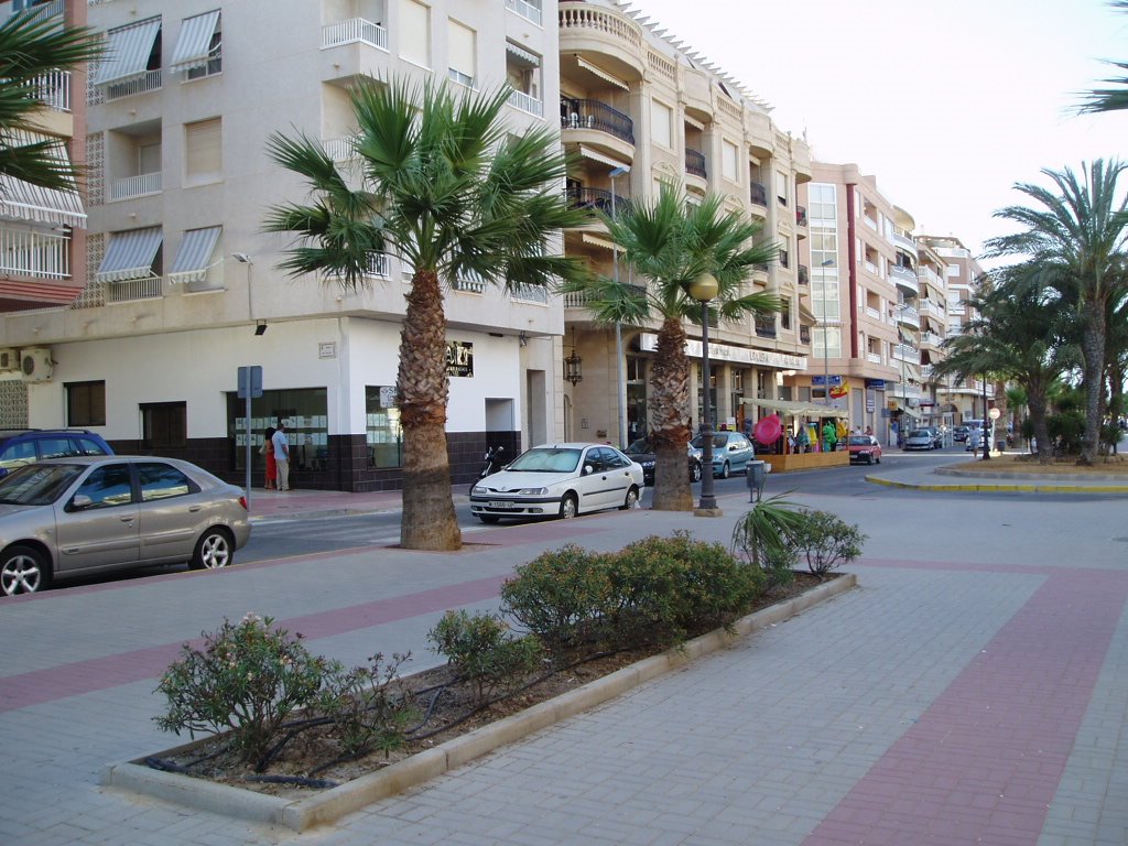 Avenida de Miguel de Cervantes, autor de "Don Quijote de La Mancha" by xabier3007