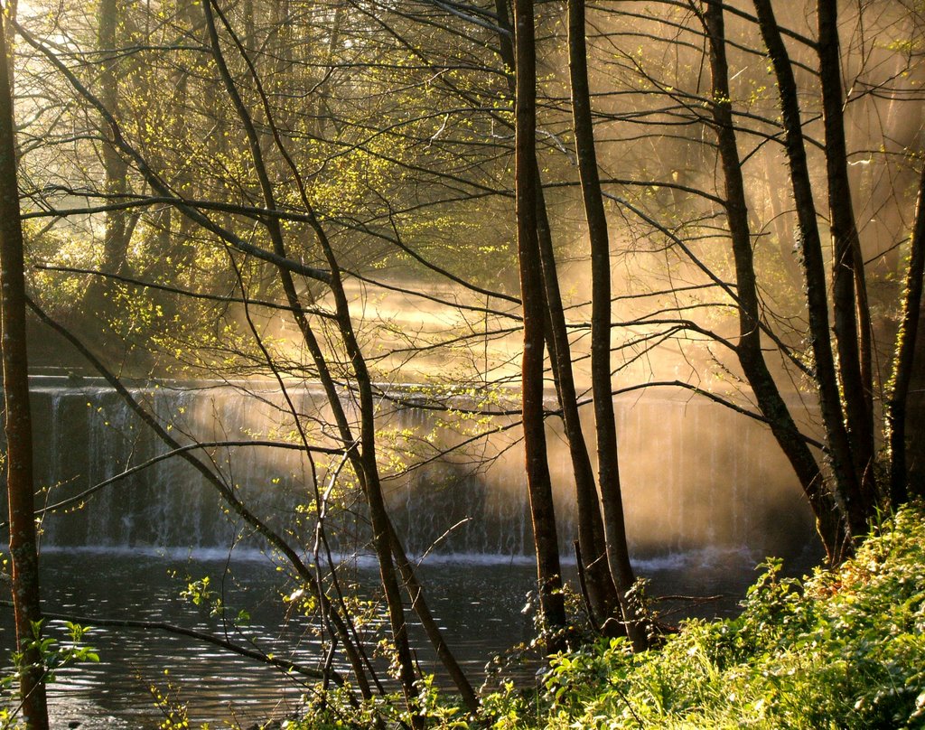 MIST ON THE RIVER / BRUMAS EN EL RIO by xabijavi