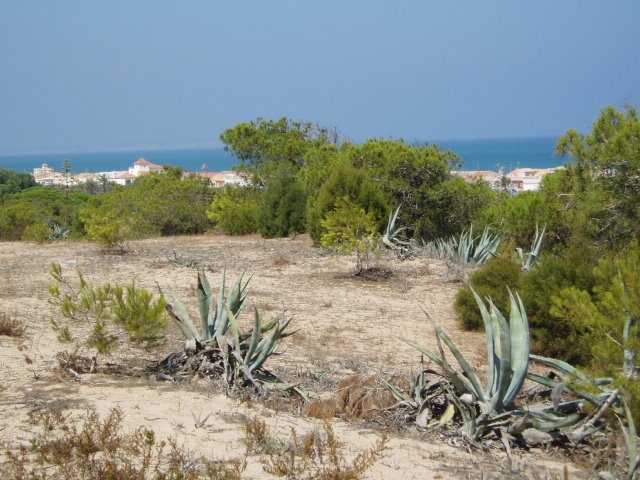 Dunas de Guardamar y el mar al fondo by xabier3007