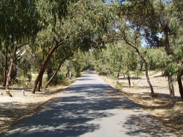 Paseo de las dunas de Guardamar del Segura by xabier3007