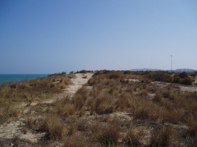 Dunas de Guardamar del Segura by xabier3007